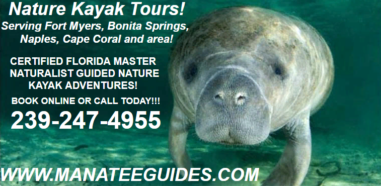 Manatee Guides